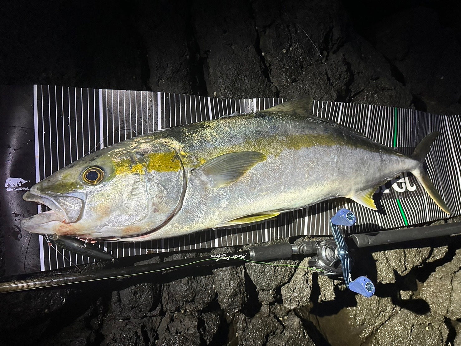 Seacret オリジナル ターポリンメジャーシート シークレット