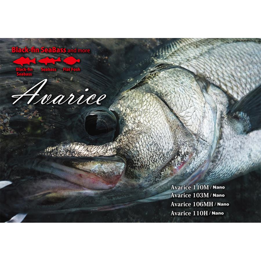 RippleFisher Avarice 110H Nano/リップルフィッシャー アヴァリス アバリス ショアロッド