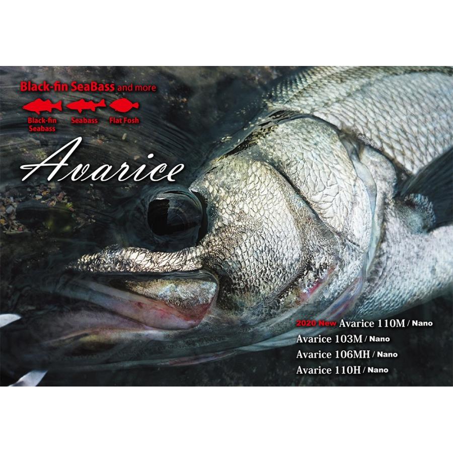 RippleFisher Avarice 110H Nano/リップルフィッシャー アヴァリス アバリス ショアロッド