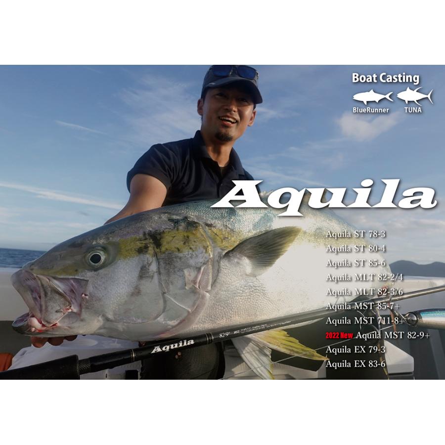 RippleFisher Aquila MST 85-7+ リップルフィッシャー アクイラ 青物 