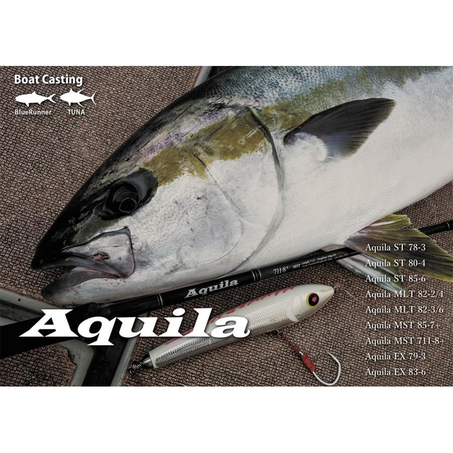 ripplefisher Aquila MLT 82-2/4 /リップルフィッシャー アクイラ MLT 82-2/4 / ボートキャスティング ロッド/ヒラマサ 平政 キハダマグロ