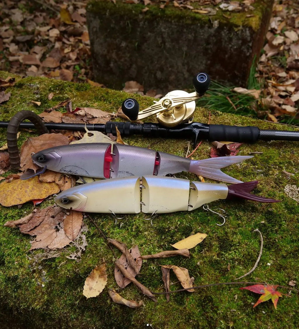 62.jpg?v=1724553609&width=1024 