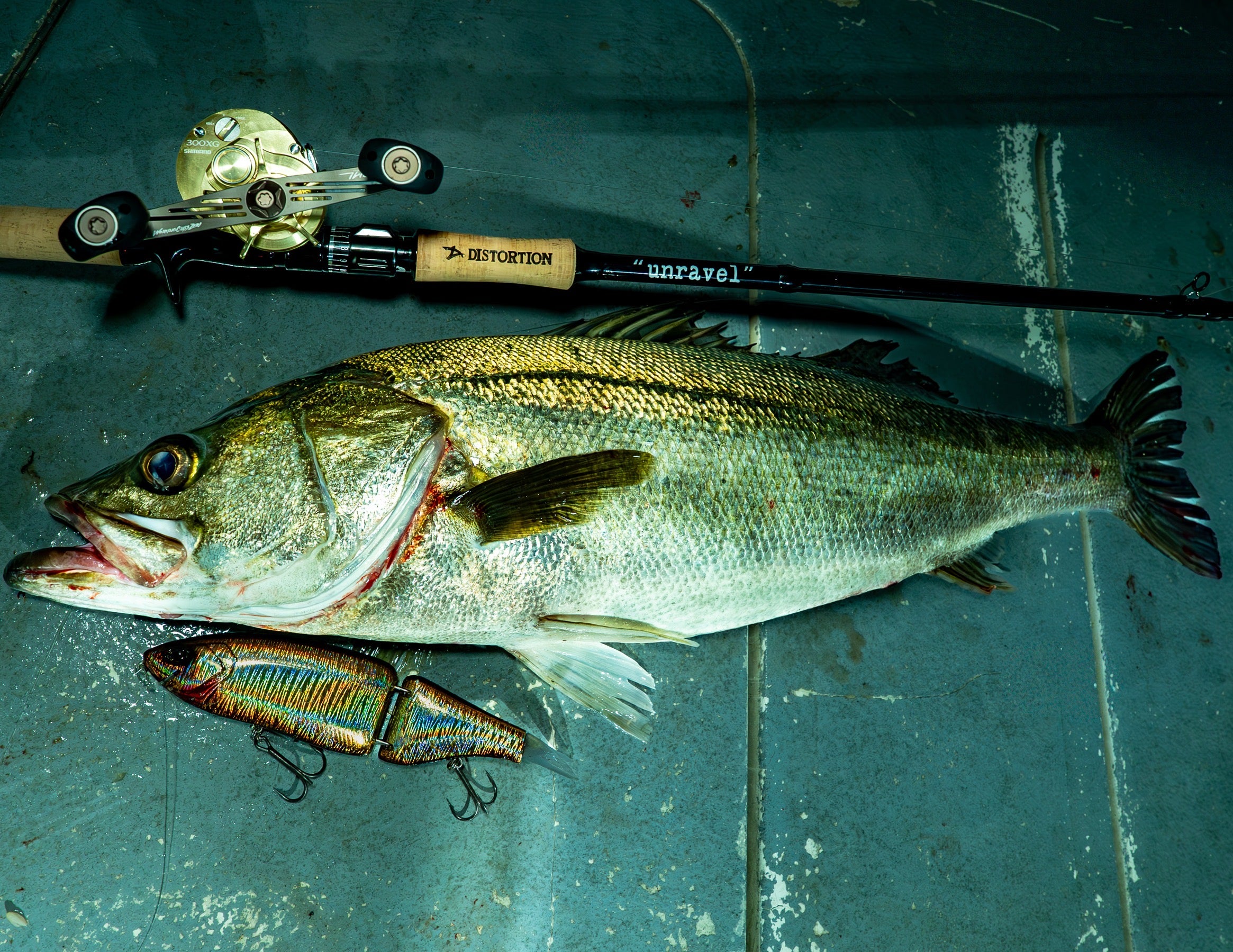 DISTORTION BELGIAN  BLACK unravel BBB85UR(ベイト) ディストーション ベルジャンブラック アンラベル ※店頭受取専用