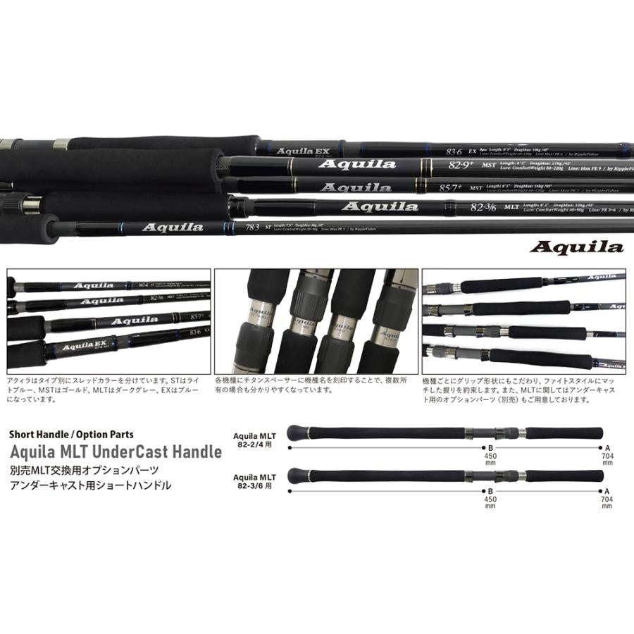 リップルフィッシャー】Aquila ST 85-6カスタムロッド - ロッド